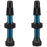 WTB tyres Tubeless-Ventile presta TCS