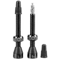 Tubolight Tubeless Ventile