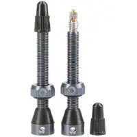 Tubolight Tubeless Ventile
