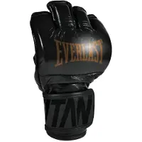 Everlast Titan Pro Mma-kampfhandschuh