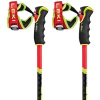 LEKI Wcr Gs Carbon 3d Stöcke