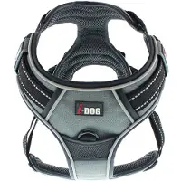 IDog Style Hundegeschirr