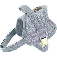 Kentucky Dogwear Harness Body Safe Hundegeschirr