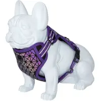 Freedog Boreal Hundegeschirr