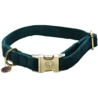 Kentucky Velvet Hundehalsband
