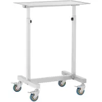 Steinberg Systems Instrumententisch - mobil - 60 x 40 cm - höhenverstellbar - Edelstahl / Gummi