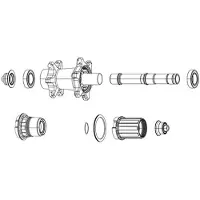 Zipp Ratschenkits/Feder für Nabe ZR1 (x6)