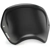 Puig 3590j Frontplatte