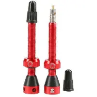 Tubolight Tubeless Ventile