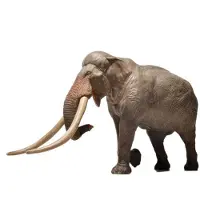 Eofauna Gerade Stoßzahn Elefant Figur 1:35 Braun Kinder Braun One Size