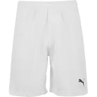 Puma teamRISE Short Herren XXL