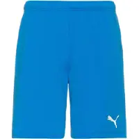Puma teamRISE Short Herren M