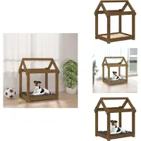 vidaXL Hundebett Honigbraun 61x50x70 cm Massivholz Kiefer - Hundebetten