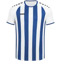 Jako Herren Trikot Inter KA