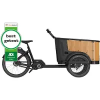 Cangoo Elektrofahrrad Buckle Up