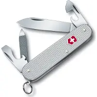 Victorinox Cadet Silver