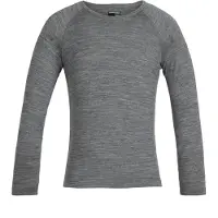 Icebreaker 200 Oasis Crew Merino Langarm-t-shirt