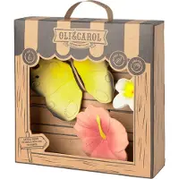 Oli&carol Neugeborenen-paket Schmetterling