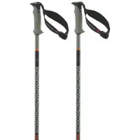 Salomon - Polar Pro S3 - Skistöcke Gr 100 cm grün