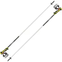 LEKI Herren Alpin-Skistock Airfoil 3D