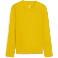 Puma Teamgoal Langarm-baselayer