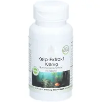 WARNKE Kelp-Extrakt 100 mg Tabletten 240 St