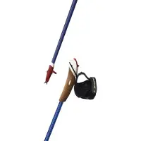 Guidetti Nordic Walking Stock Vent des Fjords UT50 Austral