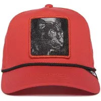 Goorin Panther 100 Kappe