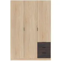 Dmora Allentown Kleiderschrank, Schlafzimmer Kleiderschrank mit 3 Türen und 3 Schubladen, Schrank mit Kleiderstange und 3 Regalen 121x80h180 cm, Eiche und Oxid