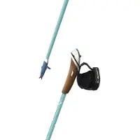 Guidetti Nordic Walking Stock Vent des Fjords UT50 Toundra