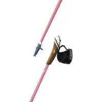 Guidetti Nordic Walking Stock Vent des Fjords UT70 Steppe