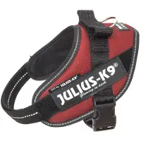 JULIUS K-9 Idc Power Hundegeschirr