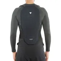 Dainese Snow Auxagon Protector 2 Rückenprotektor