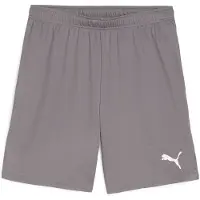 Puma Teamgoal Shorts Herren - Grau