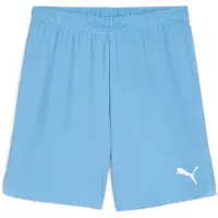 Puma Shorts TeamGloal