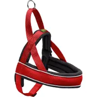 Hunter Norwegergeschirr Racing rot/schwarz, Größe: S / Breite: 2,0 cm
