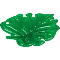 OWIM GmbH & Co. KG Crivit Luftmatratze 385215 Blatt