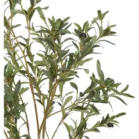 Beliani Olive Tree