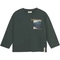 En fant enfant Longsleeve ENT-Shirt LS in Grün | Gr.: 98