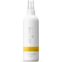 Philip Kingsley Styling Maximizer Root Boosting Spray 250 ml