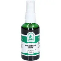 St. Severin Birkenknospen Spray 50 ml