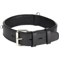 Flamingo Rondo Riveted Hundehalsband