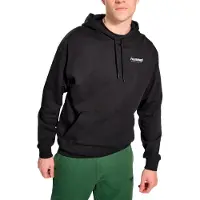 Hummel Herren Kapuzensweat hmlLGC NATE HOODIE
