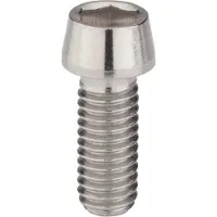 Shimano Crank Arm Fixing Bolt E512100 Fc-m985 Grau