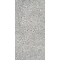Praxis Desert Bodenfliese greige 30x60 cm matt DESER36GRG
