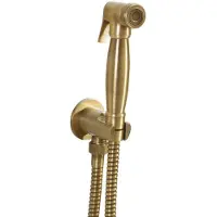 Sapho Bidetbrause, Retro-Stil, Schlauch und Brausehalter mit Duschanschluss, Bronze