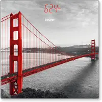 Beurer Personenwaage GS 215 San Francisco