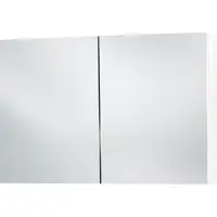 Differnz Spiegelschrank Somero 100 x 13 x 66 cm weiß 2-türig