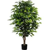 Pflanzen-Kölle Künstliche Birkenfeige 'Ficus benjamini', Höhe ca. 150 cm