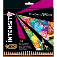 BIC Intensity Premium Buntstifte 24er-Pack